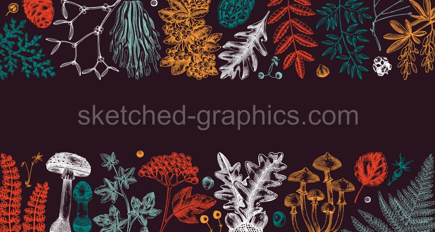 Woodland Botanical Banner Illustration